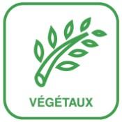 logo des déchets végétaux